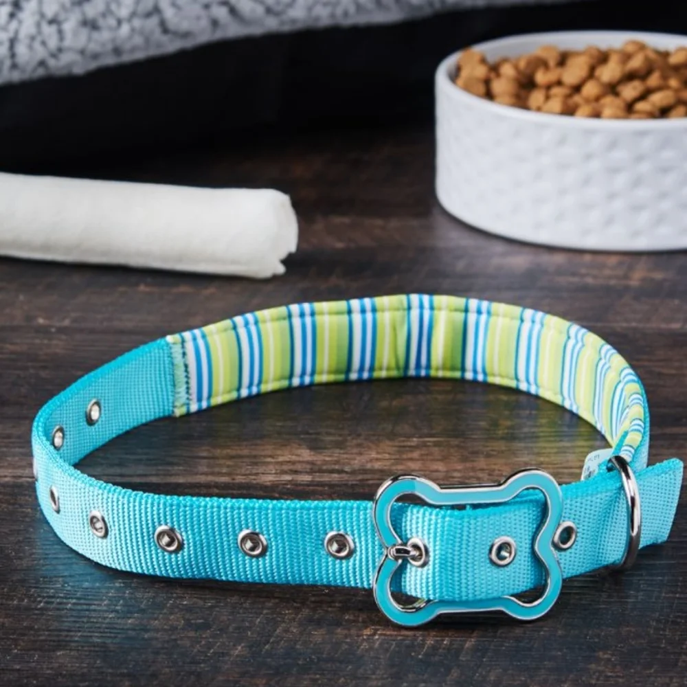 Vibrant Life Comfort Padded Dog Collar Teal Stripe New With Tag Size Large